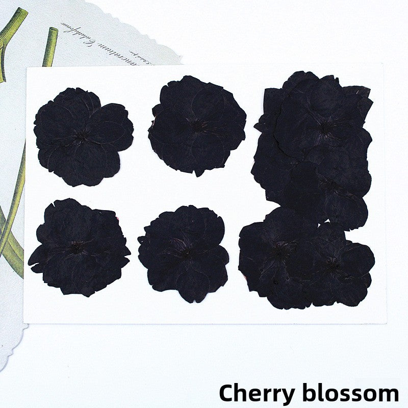 Black Dried Flowers DIY Craft Materials