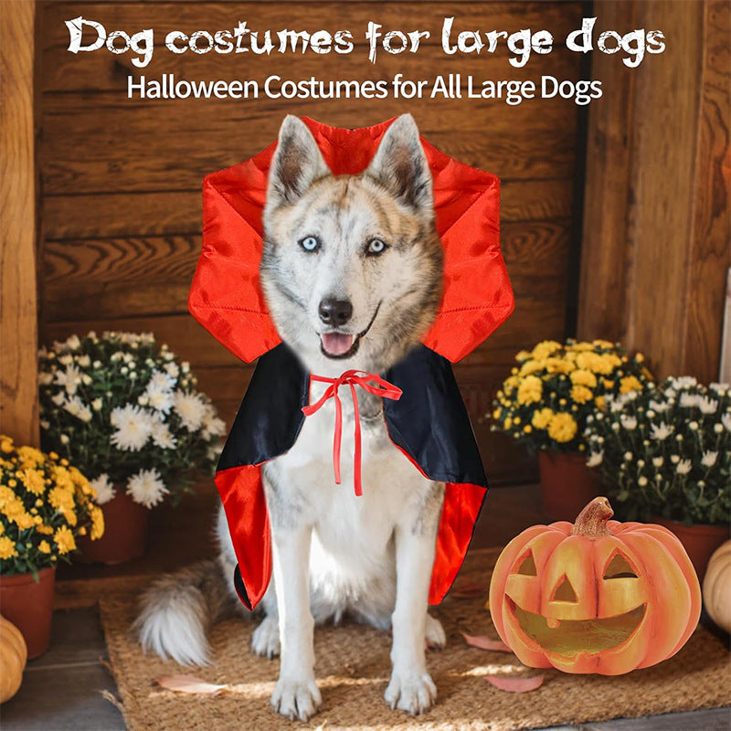 Halloween Pet Witch Cloak Costume