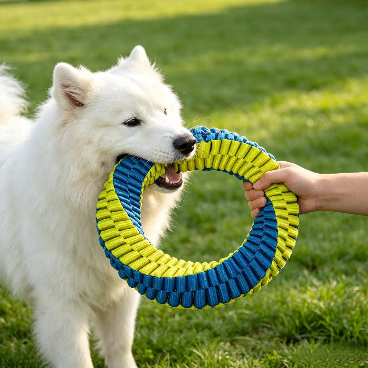 Nylon dog chew interactive toy