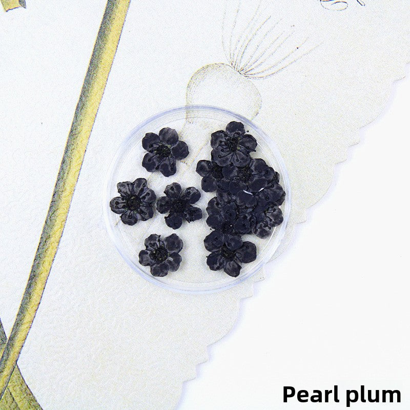 Black Dried Flowers DIY Craft Materials