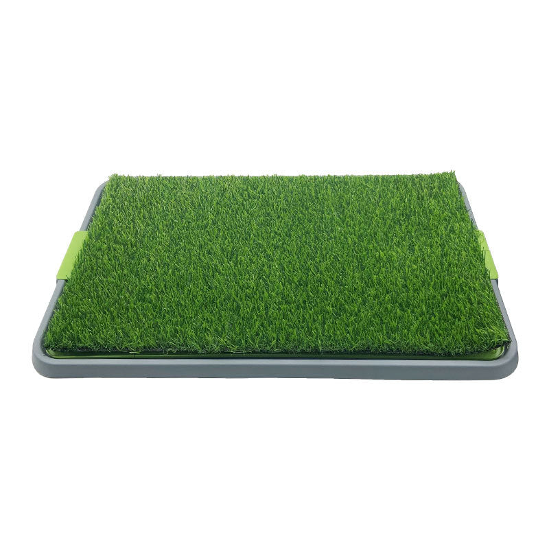 Dog toilet tray