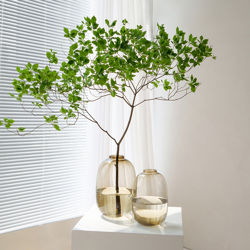 Large Glass Vase for Home Hydroponics