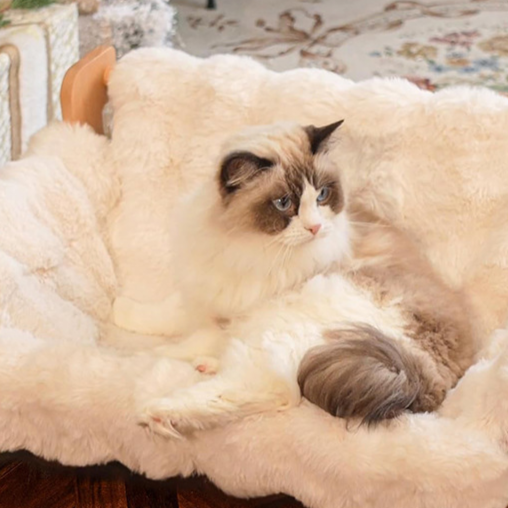 Wooden Cat Sofa