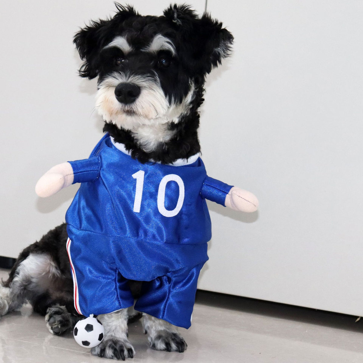 Funny and Quirky Dog Clothes