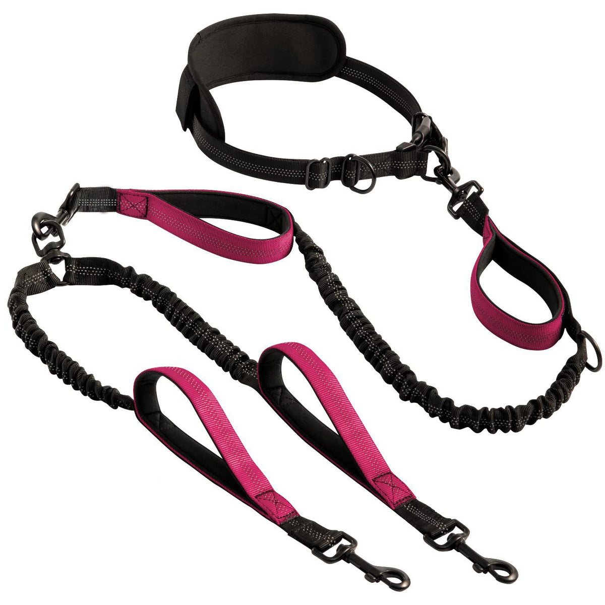 Double-Head Full Set Dog Leash Gadget
