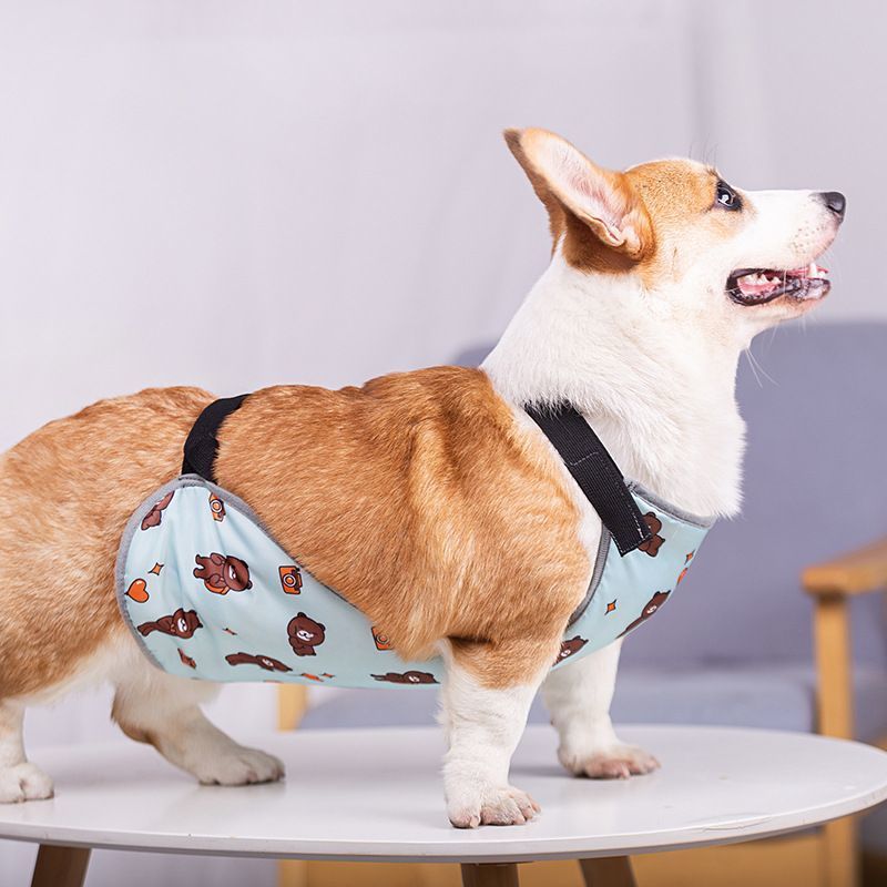 Pet Belly Band