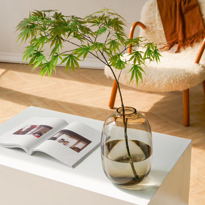 Large Glass Vase for Home Hydroponics
