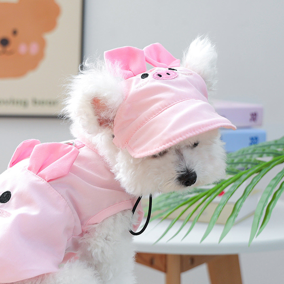Cat and dog sun protection hat