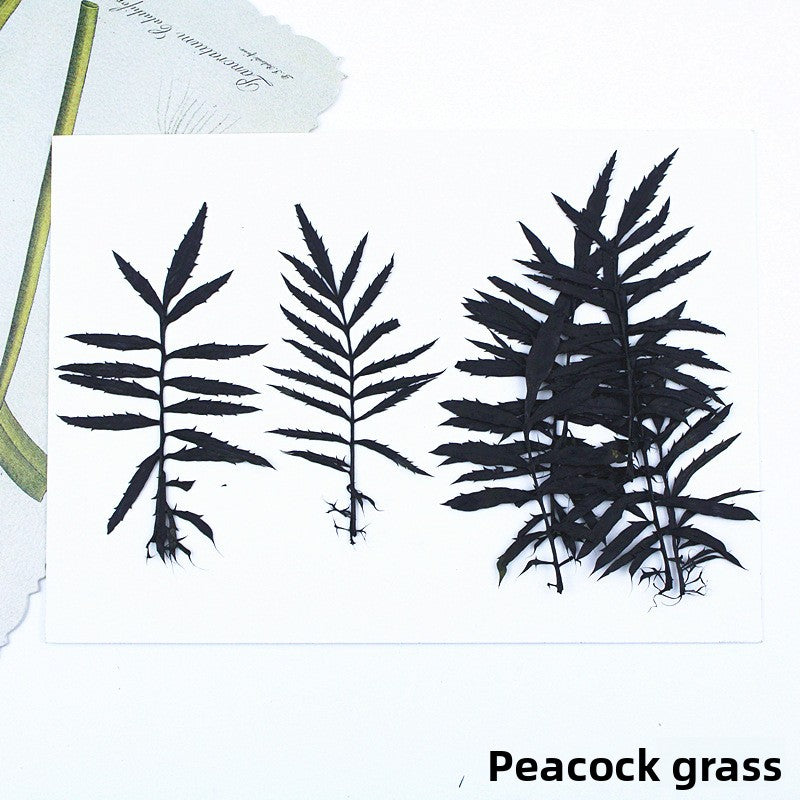 Black Dried Flowers DIY Craft Materials