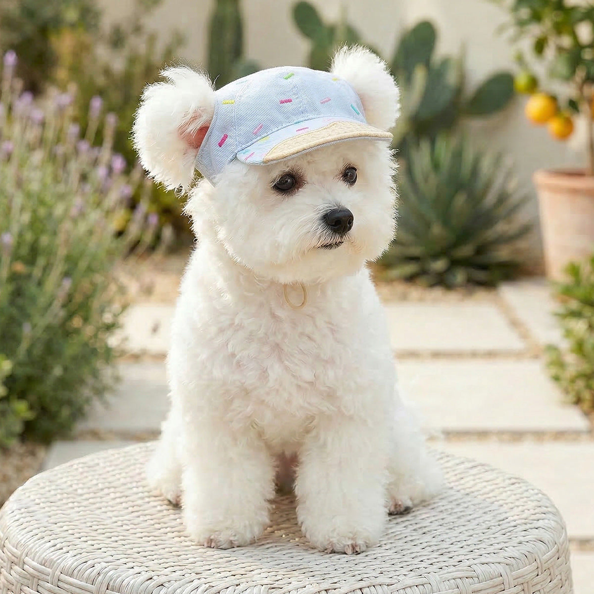 Cat and dog sun protection hat