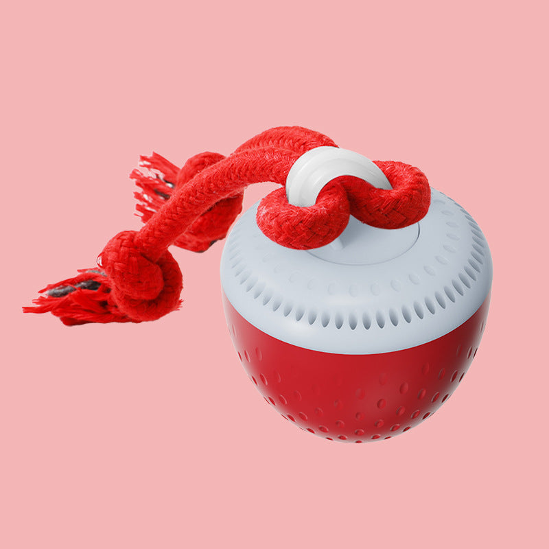 Interactive Rechargeable Dog Toy Ball