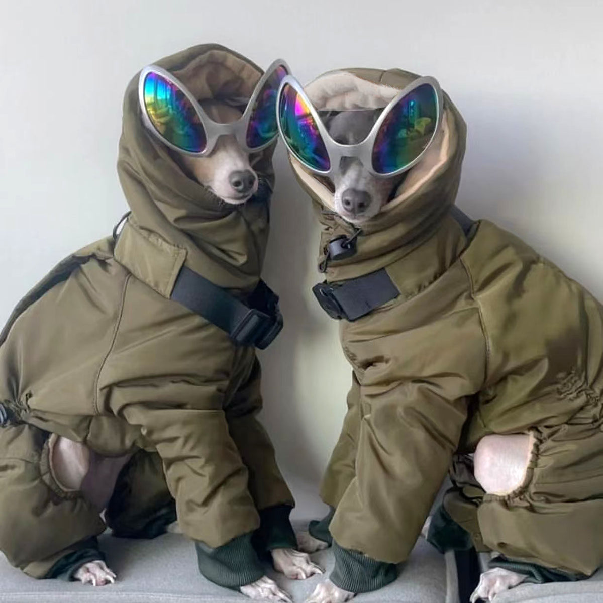 Four-Legged Cotton Coat for Large Dogs