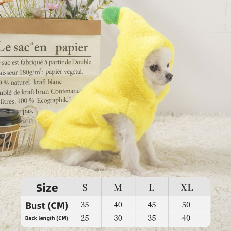 Funny and Quirky Dog Clothes