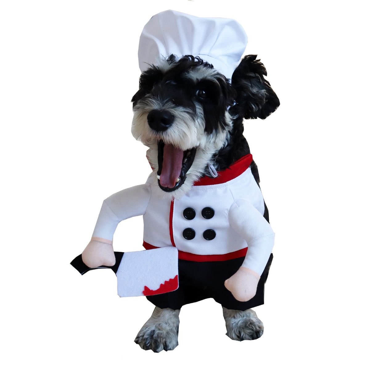 Funny and Quirky Dog Clothes