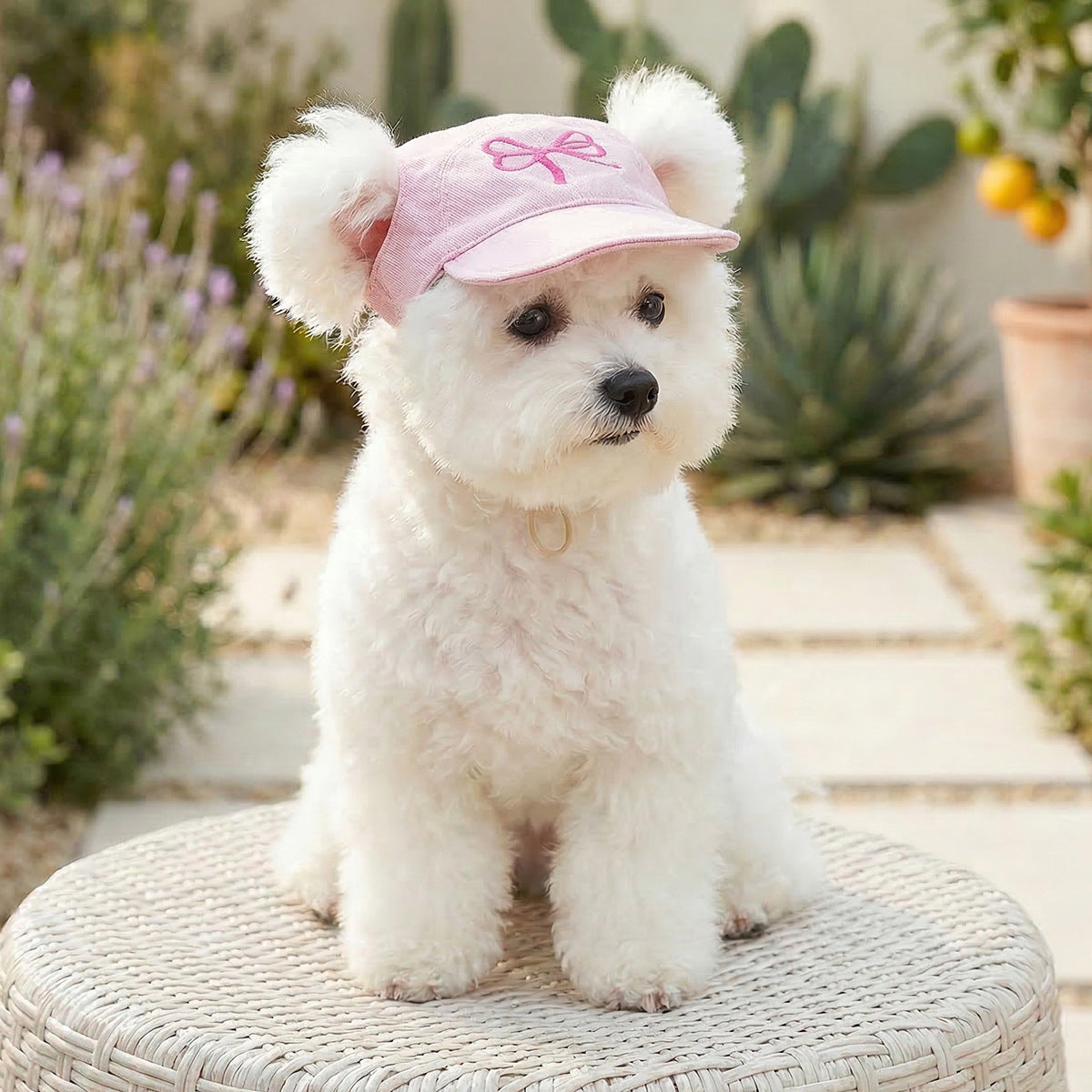 Cat and dog sun protection hat