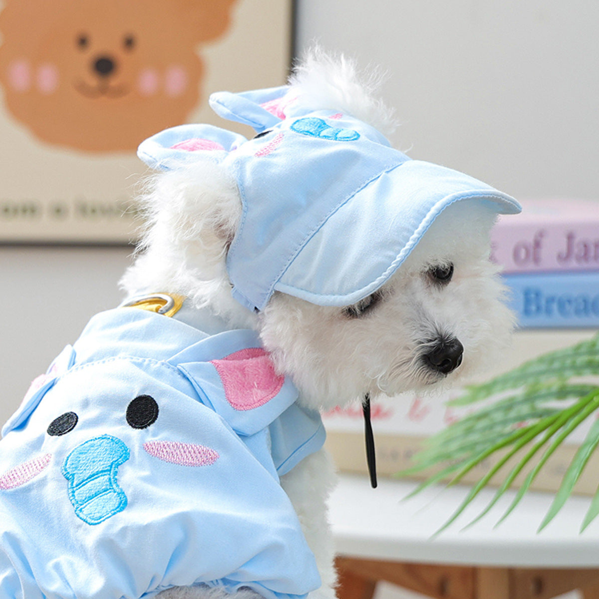 Cat and dog sun protection hat