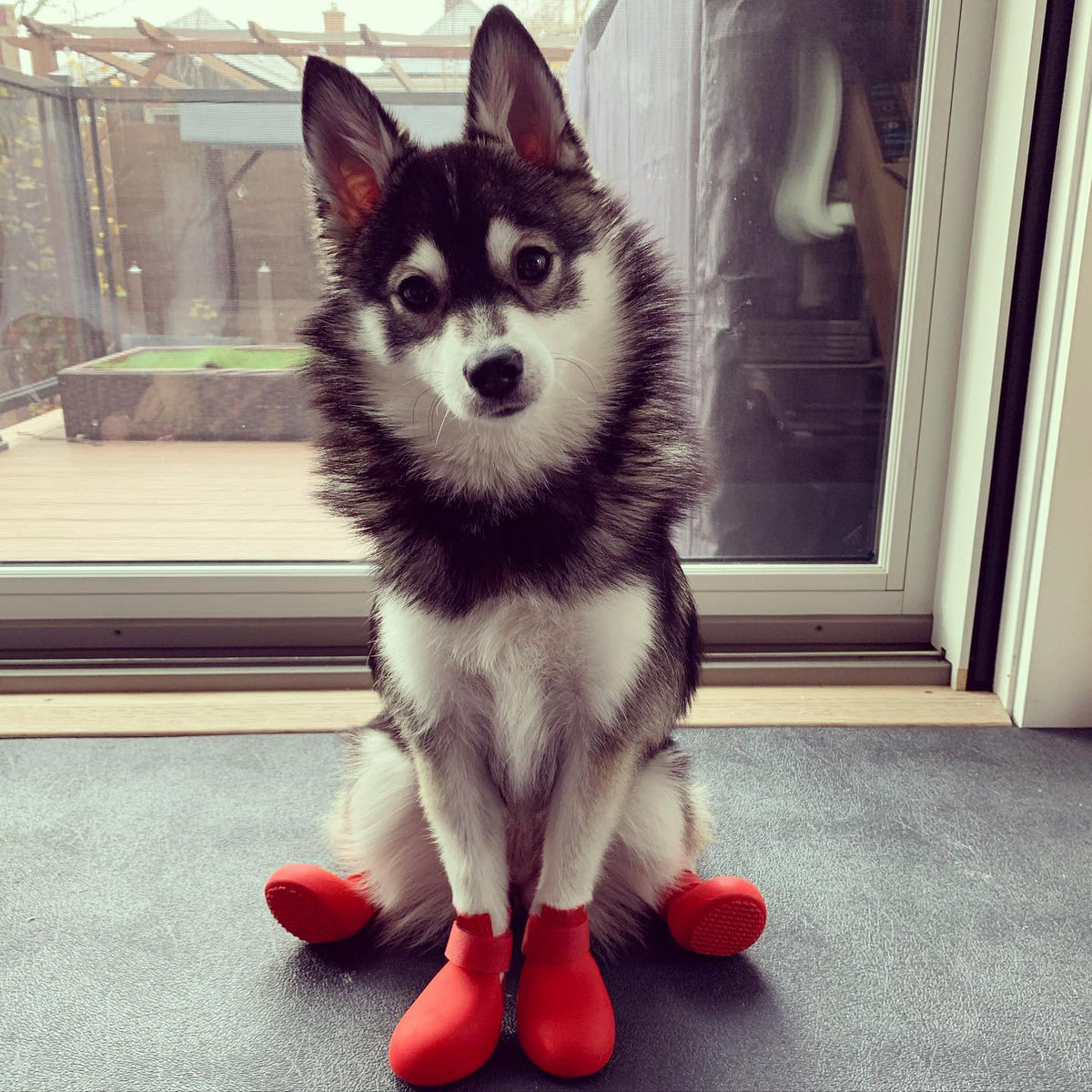 Silicone Dog Rain Boots Winter Pet Anti-Slip Shoes